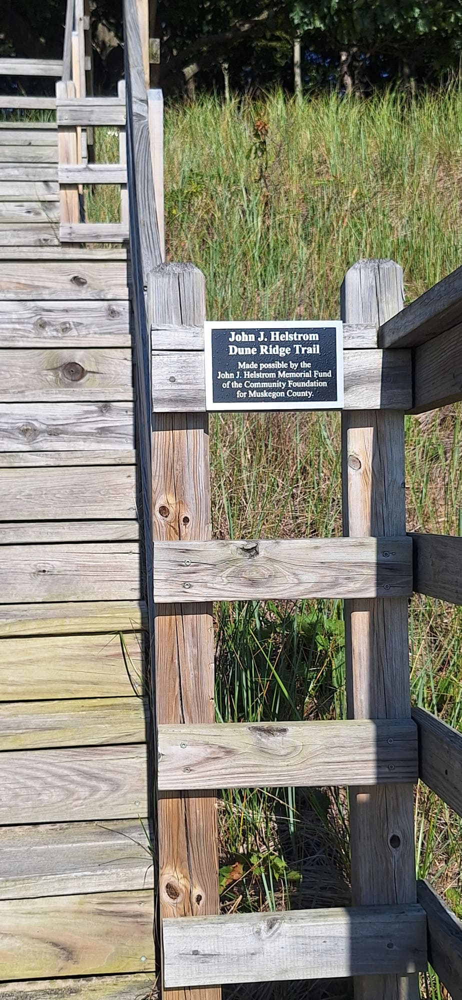 Boardwalk on the dune ridge trail above Lake Michigan at Montague