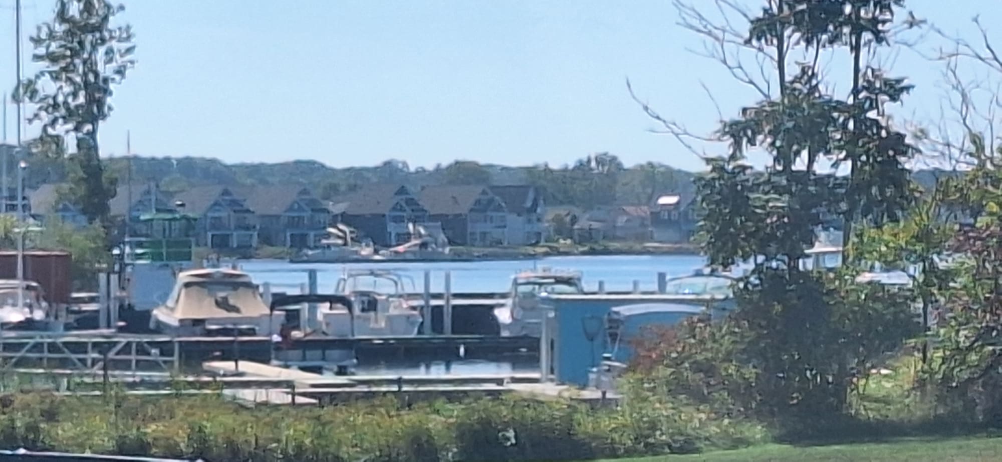 Boats on the docks at the White Lake marina with waterfront homes across the water